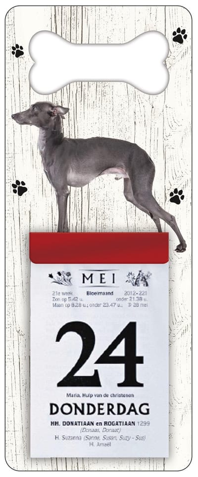 Scheurkalender 2027 Hond: Italiaanse windhond