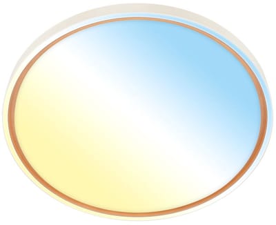 BRILONER Ina – LED Plafondlamp – dimbaar met afstandsbediening – CCT kleurtemperatuur – 48W – 5200lm – koffiekleur – Ø49cm