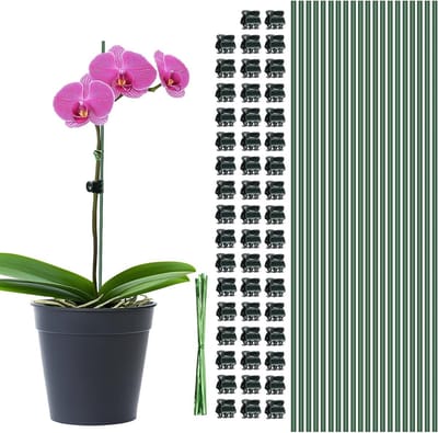 Plantensteunen Kamerplanten - Steunstokjes Buigbaar - Planten Ondersteunen - Roestbestendig Metaal - 40 cm 20 Stuks - Groen