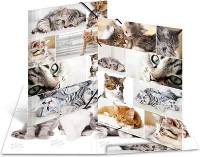 HERMA Elasticated folder A3 cardboard Katten