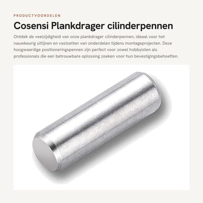 Dailygoods- Plankdrager - Cilinderpen - Roestvrij Staal - Positioneringspen - Mechanisch Onderdeel - Duurzaam en Corrosiebestendig