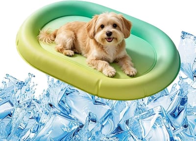 Koelmat voor katten - Kattenbed matras - Zomerse verkoeling - Zelfactiverende koelgel - 72x48cm - Groen