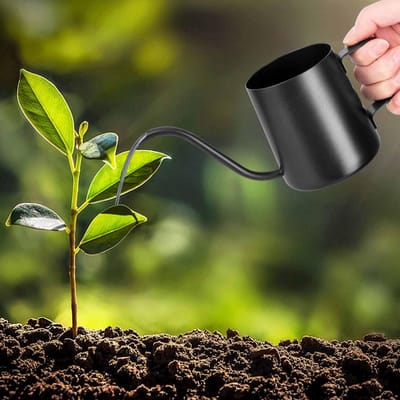 Kleine zwarte gieter 350 ml voor kamerplanten met lange zwanenhals