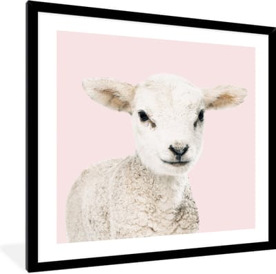 FrameYourWall® - Fotolijst met poster 40x40 - Lammetje - Schaap - Dieren - Portret - Roze - Fotokader van hout - Kaders en lijsten - Houten fotolijstje - Wissellijst voor muurposter - Picture en photo frame - Posterlijst - Fotohouder