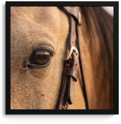Poster in lijst - Fotolijst 40x40 cm - Posters - Paard - Oog - Bruin - Posterlijst zwart - Decoratie - Wanddecoratie woonkamer - Muurdecoratie slaapkamer