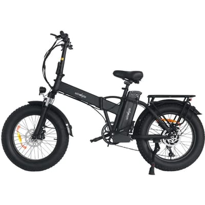 WINDGOO F21 PRO Volwassen All-Terrain Elektrische Fiets 48V12.5Ah Batterij 250W Motor E-Mountainbike 20 Inch Off-Road Banden Opvouwbare Elektrische Fiets