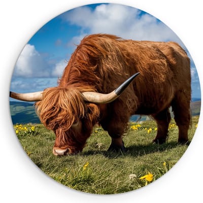 Saammp Muurcirkel Hout 2 Schotse Hooglander Koeien in de sneeuw - Dieren - Natuur - Ø 90 - Wandcirkel - Wanddecoratie Cirkel - muurdecoratie Woonkamer - Slaapkamer decoratie - Rond Schilderij