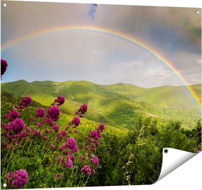 Gards Tuinposter Regenboog in de Heuvel Bossen - 100x80 cm - Tuindoek - Tuindecoratie - Wanddecoratie buiten - Tuinschilderij