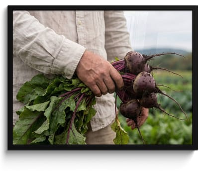 Poster in lijst - Fotolijst 80x60 cm - Posters - Bieten - Vers - Moestuin - Posterlijst zwart - Decoratie - Wanddecoratie woonkamer - Muurdecoratie slaapkamer