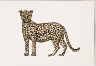 World of Mies poster luipaard - A4 - mooi dik papier - Snel verzonden! - tropisch - jungle - dieren in aquarel - geschilderd door Mies