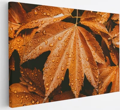Saammp Canvas Schilderij - Herfstbladeren met Druppels - Natuur - Abstract - 30x20 - Foto op canvas - Wanddecoratie - Muurdecoratie Woonkamer - Kantoor Decoratie