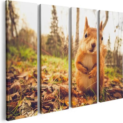 Artaza Canvas Schilderij Vierluik Eekhoorn in het Bos tijdens de Herfst - 80x60 - Foto Op Canvas - Canvas Print
