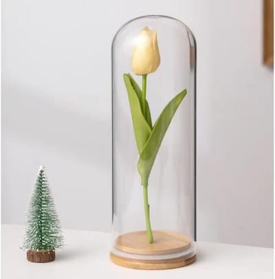Glazen stolp met voet - Glazen koepel Vitrine stolp - Decoratie presenteren - Transparant glas zicht