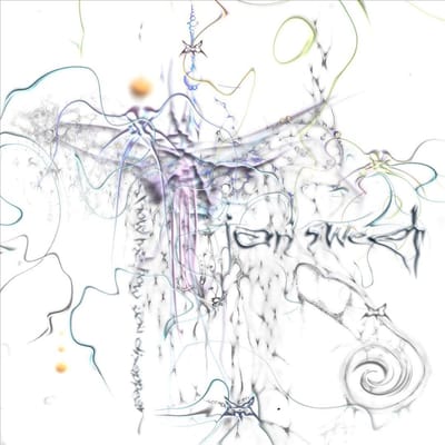 Show Me How To Disappear - Ian Sweet