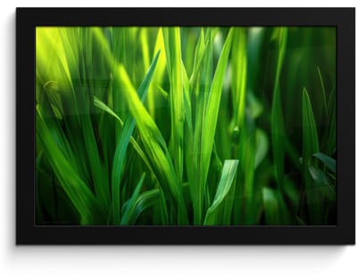 Poster in lijst - Fotolijst 30x20 cm - Posters - Grassprieten - Lichtinval - Groen - Posterlijst zwart - Decoratie - Wanddecoratie woonkamer - Muurdecoratie slaapkamer