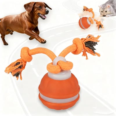 Interactief honden speelgoed - Hondenspeelgoed - Interactieve stuiterbal - Slimme speelgoedbal - Stevig en duurzaam - Actieve rollende bal voor kleine en middelgrote honden - 1 stuks - Oranje