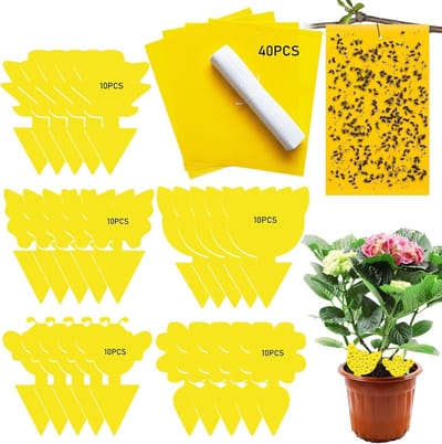 50 Gele Stickers - Funeral Gnats Controle - Plakkerige Insectvallen - Gele Signalen - Gele Stoppers - Crawler Lijmpapier - Hechting voor Ongediertebestrijding in Kamerplanten