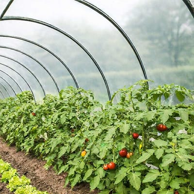 Broeikasfolie - Kassenteil Plastic folie - Planten Kweken - UV-bestendig - 6x13 m - Transparant