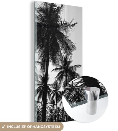 MuchoWow® Glasschilderij 60x120 cm - Schilderij acrylglas - Palmbomen - Tropisch - Zomer - Foto op glas - Schilderijen