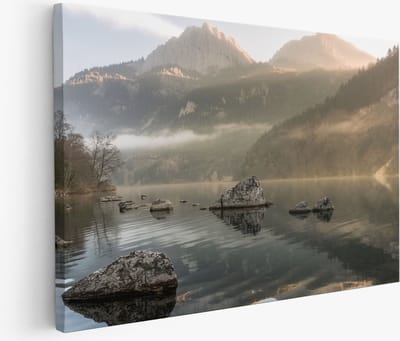 Saammp Muurcirkel Hout - Luipaard op steen - Natuur - Dieren - Ø 90 - Wandcirkel - Wanddecoratie Cirkel - Muurdecoratie Woonkamer - Slaapkamer decoratie - Rond Schilderij