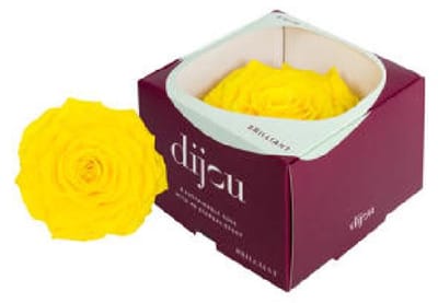 1x Dc pres.rozen sunny yellow 0012c