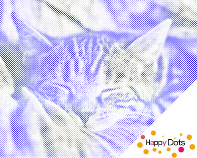 HappyDots DOT Painting Slapende Kitten 30x40cm - Stippelschilderij Blauw