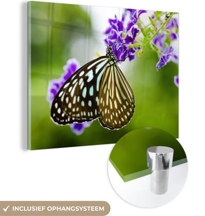 MuchoWow® Glasschilderij 40x30 cm - Schilderij acrylglas - Lavendel - Vlinder - Botanisch - Foto op glas - Schilderijen
