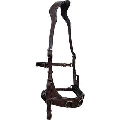 Paardenbox Zaldi AZB 822