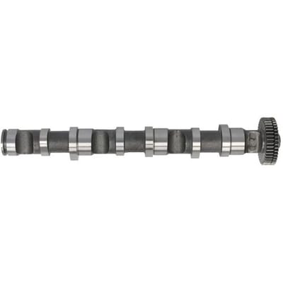 Nokkenas  FRECCIA CM05-2188