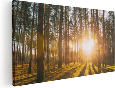Artaza Canvas Schilderij Bos - 40x20 cm - Klein - Wanddecoratie Zonsondergang - Muurdecoratie Bomen - Schilderijen Op Canvas Natuur