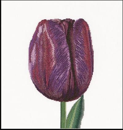 Thea Gouverneur - Borduurpakket met telpatroon - 514A - Voorgesorteerde DMC Garens - Paarse Triumph Tulp - Aida - 34 cm x 36 cm - DIY Kit
