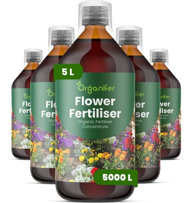 Vloeibare Meststof Voor Bloemen - 5X1 L Voor 5000 L - Npk 3-4-3 - Sterke Groei - Uitbundige Bloei - Knopvorming - Bloemgrootte - Kleurintensiteit - Sterk Wortelstelsel - Langdurige Bloeicycli - Organifer