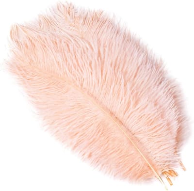 10 Stuks Natuurlijke Struisvogelveren 20-25 cm, Perfect voor DIY Tafeldecoratie en Bruiloften