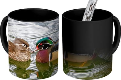 Magische Mok - Foto op Warmte Mokken - Koffiemok - Eend - Vogels - Water - Veren - Dieren - Magic Mok - Beker - 350 ML - Theemok