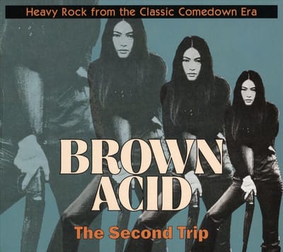 Various Artists - Brown Acid: The Second Trip (CD)