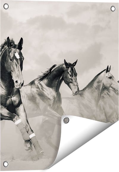 Gards Tuinposter Vier Paarden naast Elkaar - Zwart Wit - 40x50 cm - Tuindoek - Tuindecoratie - Wanddecoratie buiten - Tuinschilderij
