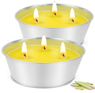 Dailygoods- Citronella Kaars - 2 Stuks - Sojawas - Loodvrij Katoen - Natuurlijke Ingrediënten - Fris/Citrusachtige Geur - Geurkaars
