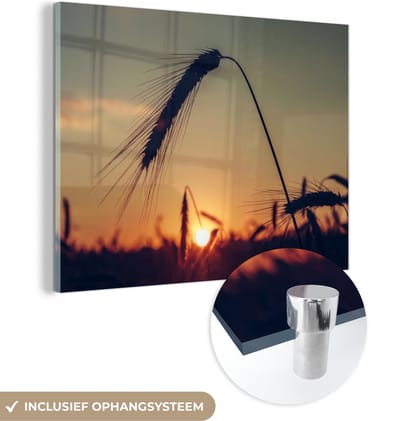 MuchoWow® Glasschilderij 40x30 cm - Schilderij acrylglas - Gras - Herfst - Zonsondergang - Seizoenen - Landschap - Foto op glas - Schilderijen