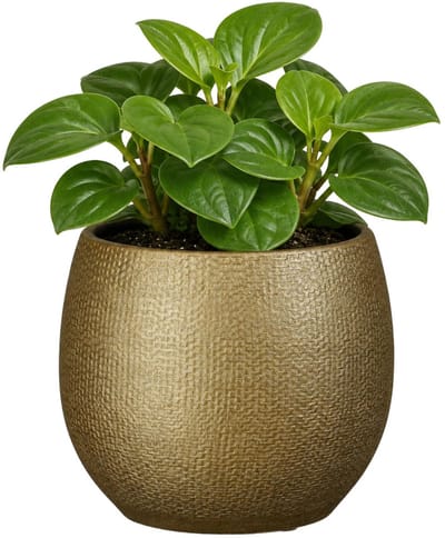 Mica Decorations Plantenpot - keramiek - goud glans / ribbels - D13 x H14 cm - bloempot Porto
