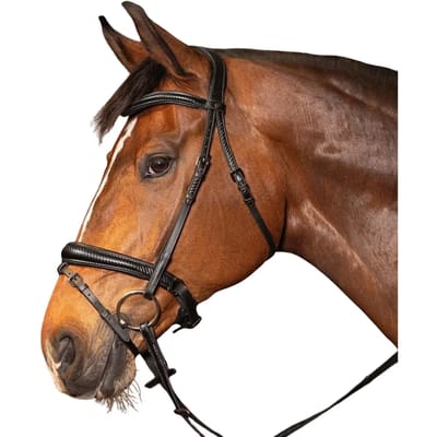 Anatomisch ruiterbit Harry's Horse Soft Carbon