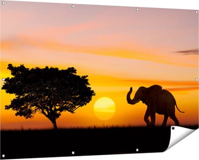 Gards Tuinposter Olifant Silhouet tijdens Zonsondergang - 150x100 cm - Tuindoek - Tuindecoratie - Wanddecoratie buiten - Tuinschilderij