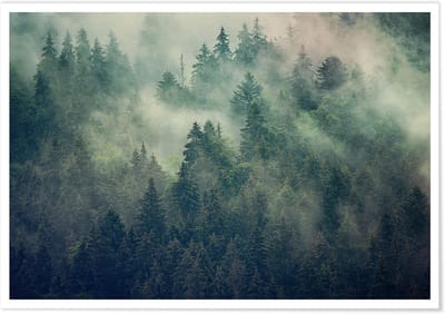 Panorama Poster Misty Bos met Passe-partout Natuurlijk Fotoprint voor Woonkamer en Slaapkamer 30x21cm