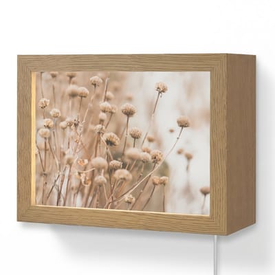 Wandlamp 20x15 cm - Oplaadbaar - Droogbloemen - Beige - Bloemen - Natuur - Wandlampen binnen woonkamer - Slaapkamer lamp met kabel - Decoratieve nachtlamp - Vloerlamp snoer