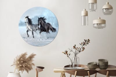 WallCircle - Wandcirkel - Muurcirkel - Paarden - Winter - Dieren - Natuur - Sneeuw - Aluminium - Dibond - 90x90 cm - Binnen en Buiten