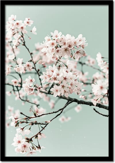Poster van een bloeiende bloesemtak - 21cm x 30cm a4 - vintage - woonkamer - slaapkamer - bloemen posters - goedkoop - muurposter - natuur - wanddecoratie