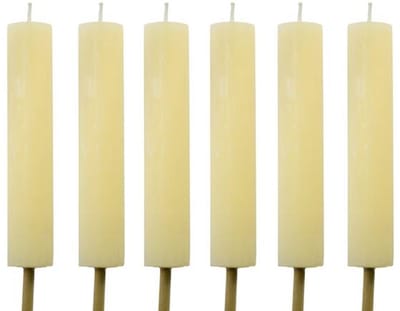 Cactula Fakkels Pale Banana – Ø3,8x20 cm – 10 Branduren – Set van 6 – Buitenkaarsen