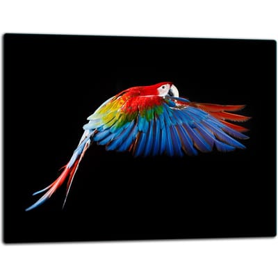 TMK ArtDeko - Snijplank - 52x40cm - Papegaai - Glas