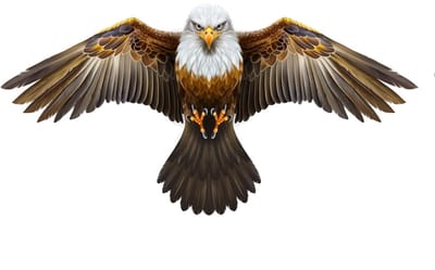 Telescopische Bird Scarer Kite met 4 m Uitschuifbare Pole Bird Repeller Kite voor Tuin Achtertuin Gazon Boerderij en Veld