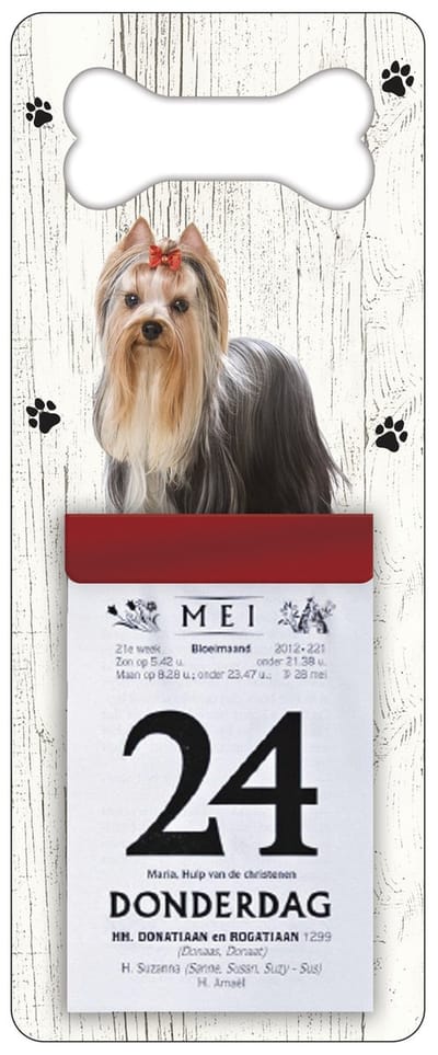 Scheurkalender 2027 Hond: York