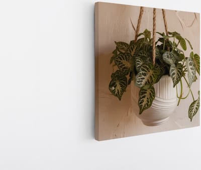 Saammp Canvas Schilderij - Hangende plant - Touw - Bloemen - Abstract - 20x20 - Foto op canvas - Wanddecoratie - Muurdecoratie Woonkamer - Kantoor Decoratie